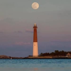 Meet your Posher, Bridget